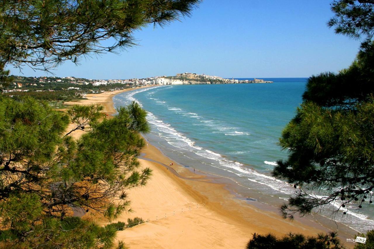 Alloggio Vieste Centro - Dizzy Studio Home Экстерьер фото
